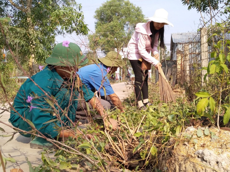 hinh xa Phu My ra quan VSMT, trong hoa (1).jpg